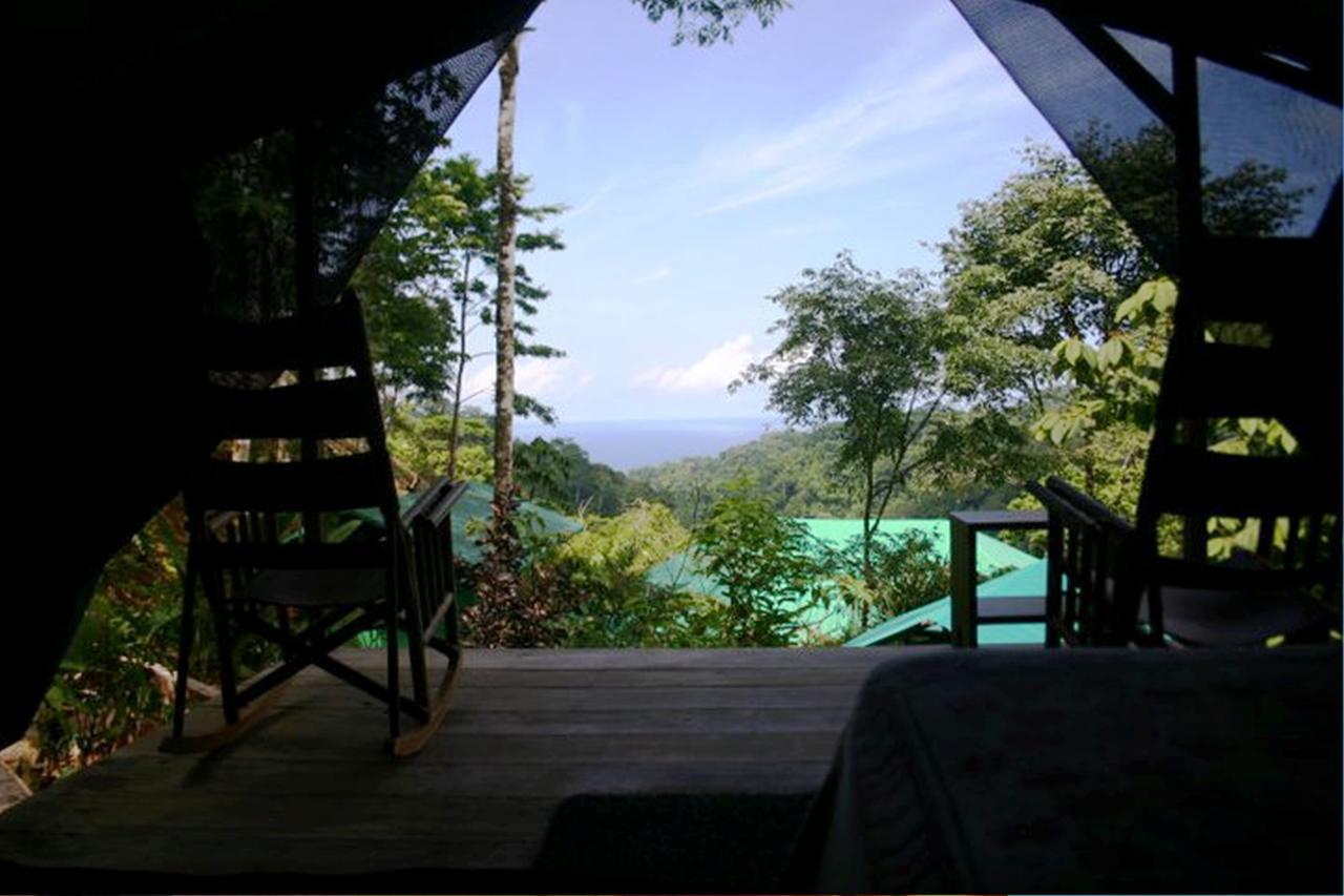 Luna Lodge Carate الغرفة الصورة
