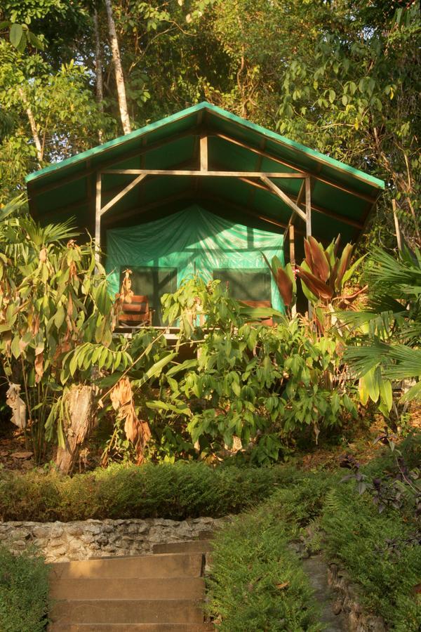 Luna Lodge Carate الغرفة الصورة