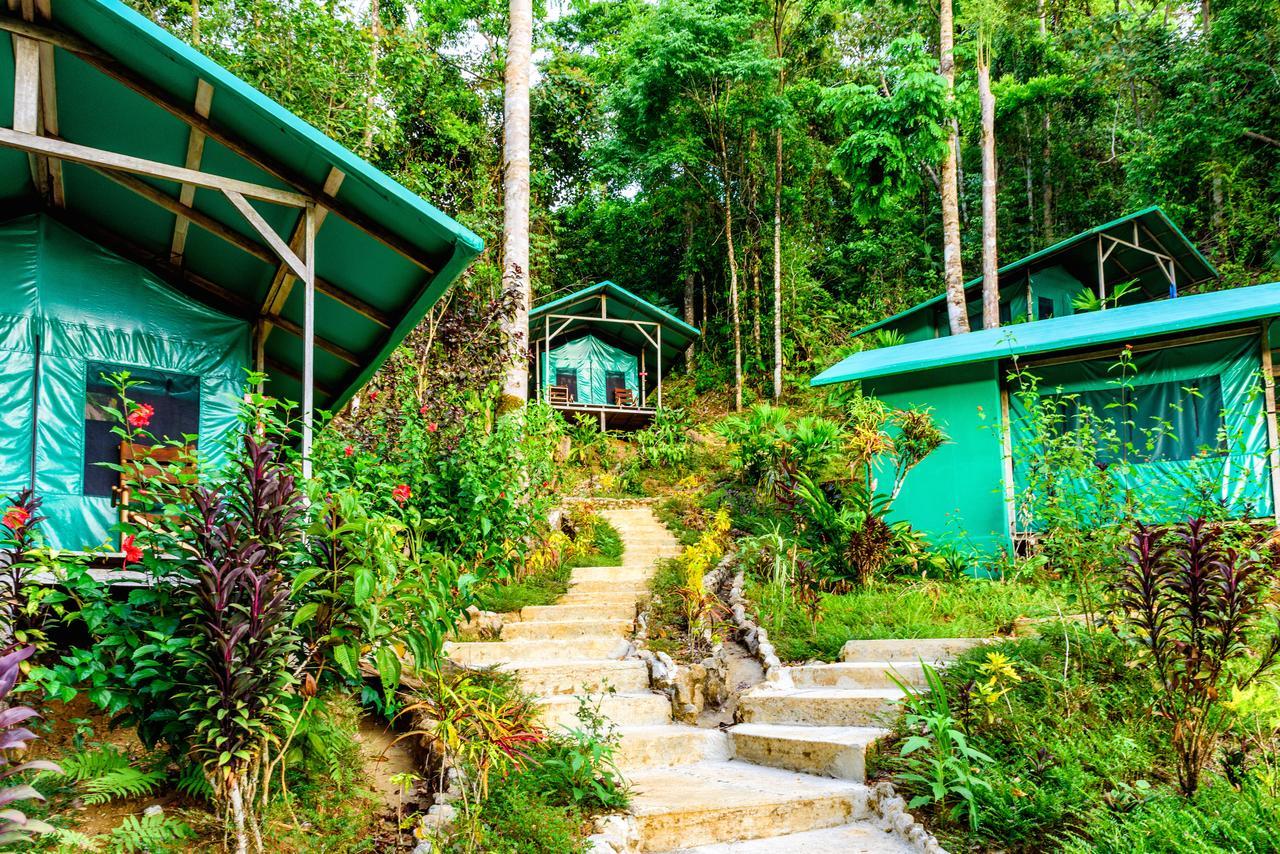 Luna Lodge Carate الغرفة الصورة
